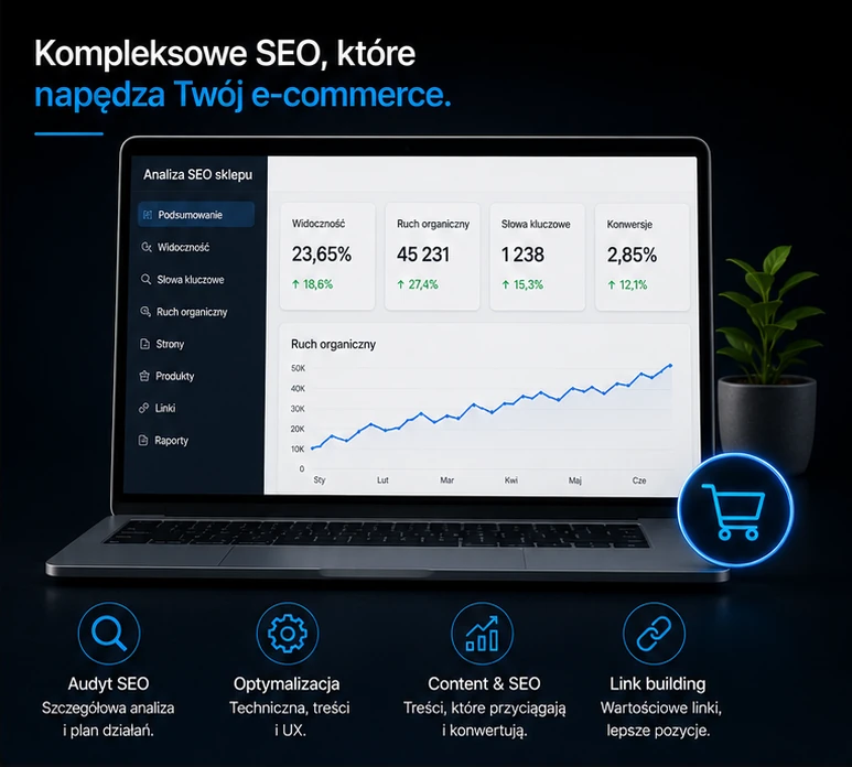 seo dla sklepów internetowych,2