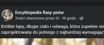 znacznik AI na facebooku